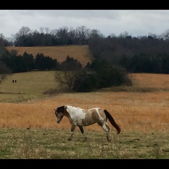 Meet your Posher, Kelly - Picture 5 of 8